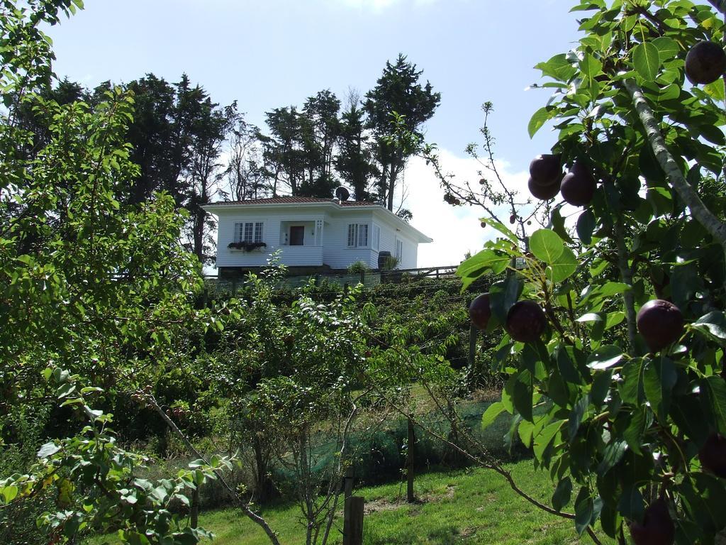 Ramarama 런시만 에뮤 비앤비 B&B 외부 사진