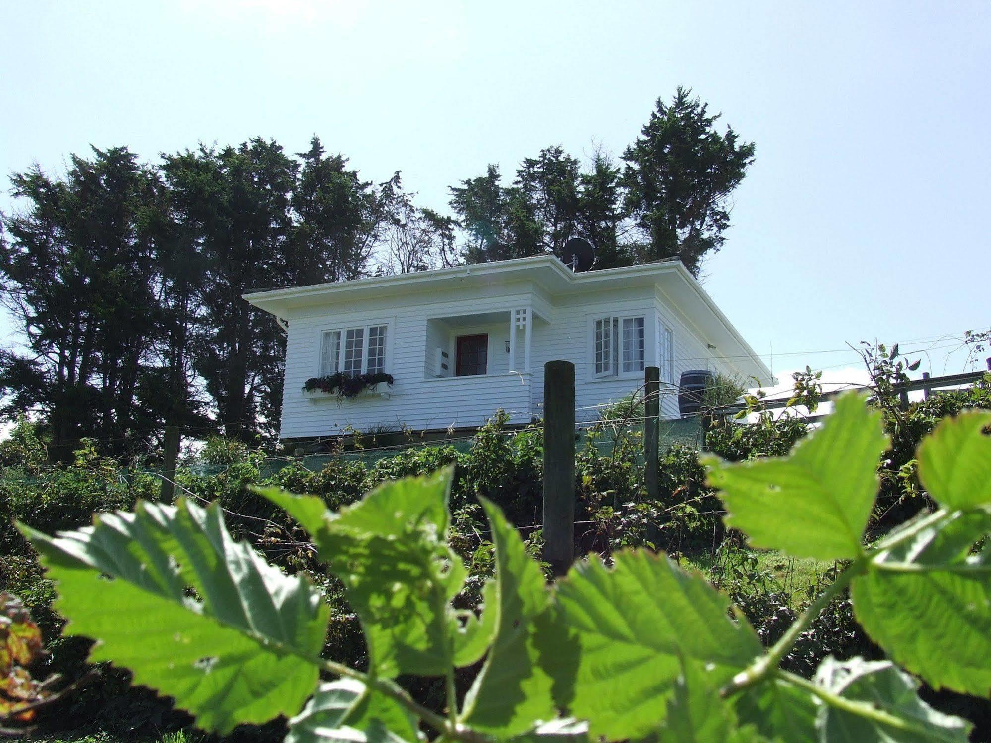 Ramarama 런시만 에뮤 비앤비 B&B 외부 사진